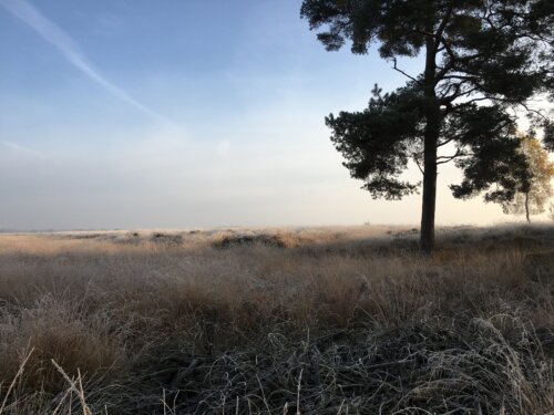 Fietsen en wandelen in de Drentse natuur