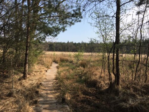 Vrijheid in Drenthe, het Drents Friese Wold
