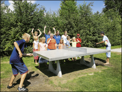 Tafeltennistafel Drenthe camping zonnekamp