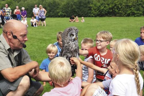 Roofvogelshow Camping Zonnekamp Drenthe