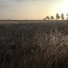 Chalet huren meivakantie Drenthe Camping Zonnekamp