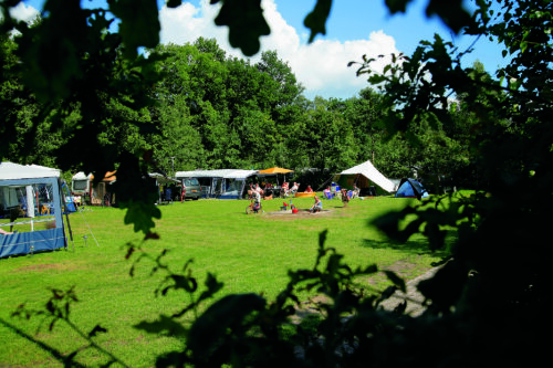 Camperplaatsen Appelscha Camping Zonnekamp