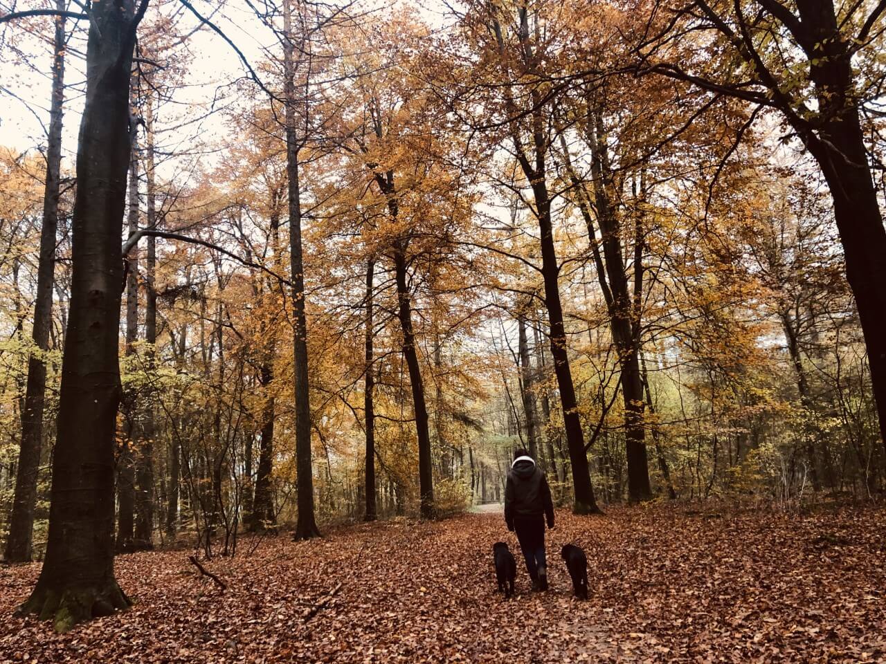 Najaar Camping Zonnekamp