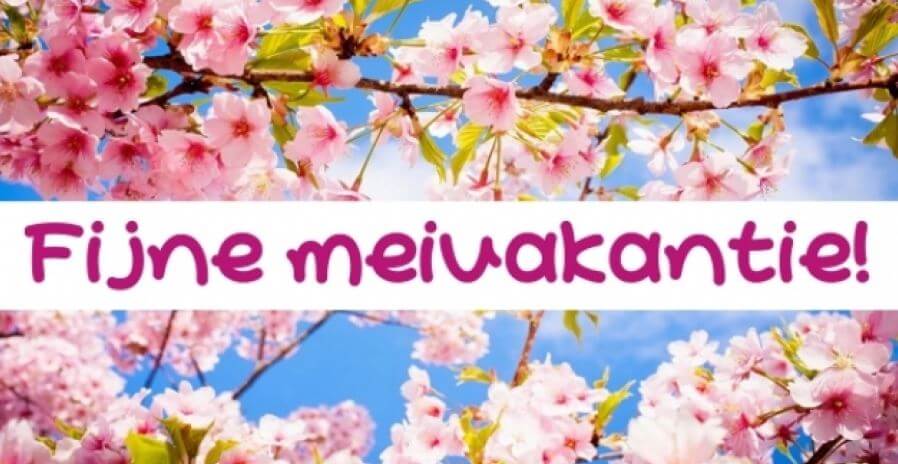 meivakantie Chalet huren meivakantie Drenthe Camping Zonnekamp