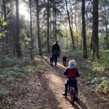 Rustige camping Drenthe, Camping Zonnekamp