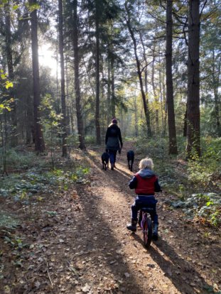 Rustige camping Drenthe, Camping Zonnekamp