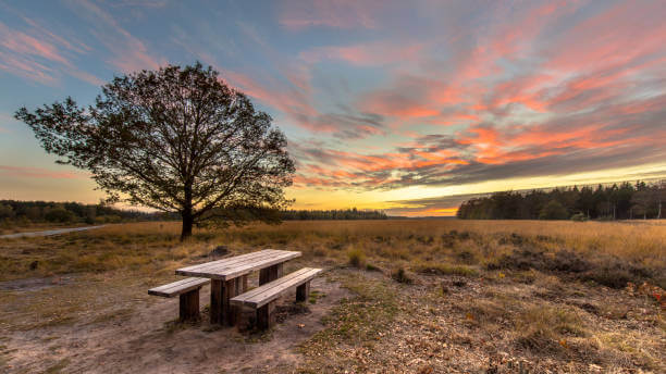 Drents Friese Wold Camping Zonnekamp