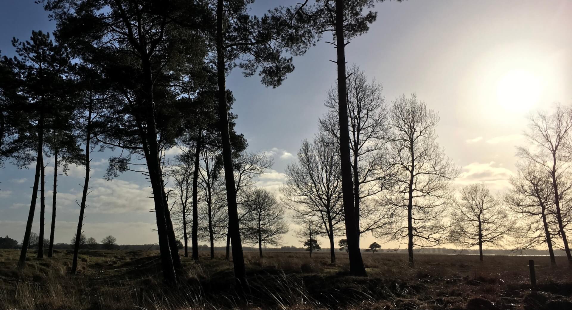 Winterkamperen Friesland CampingZonnekamp