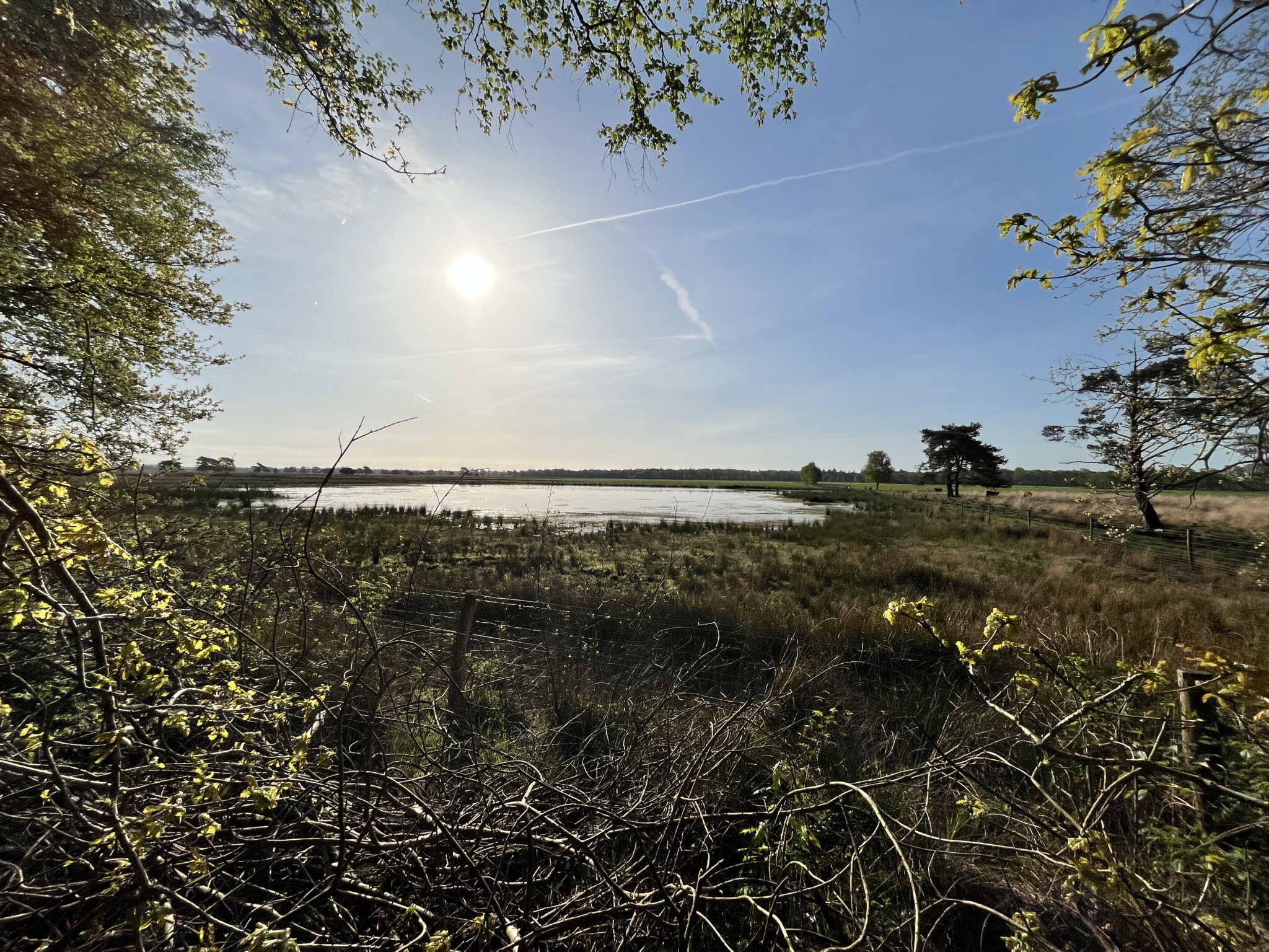 Camping Oude Willem - Camping Zonnekamp