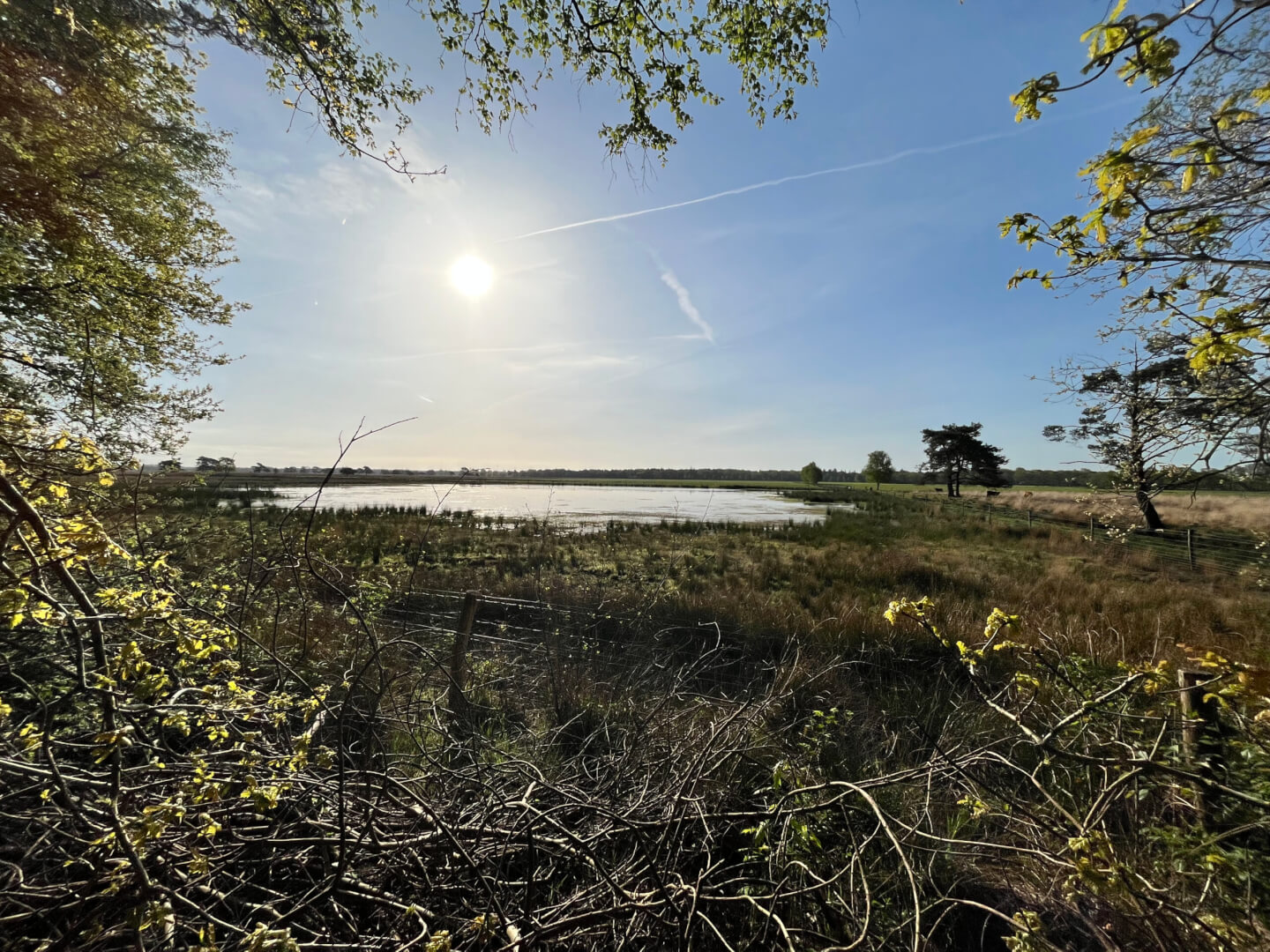 Camping Zorgvlied Camping Zonnekampn Drenthe