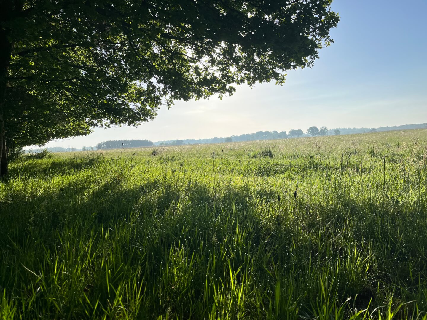 Camping Zorgvlied Camping Zonnekamp