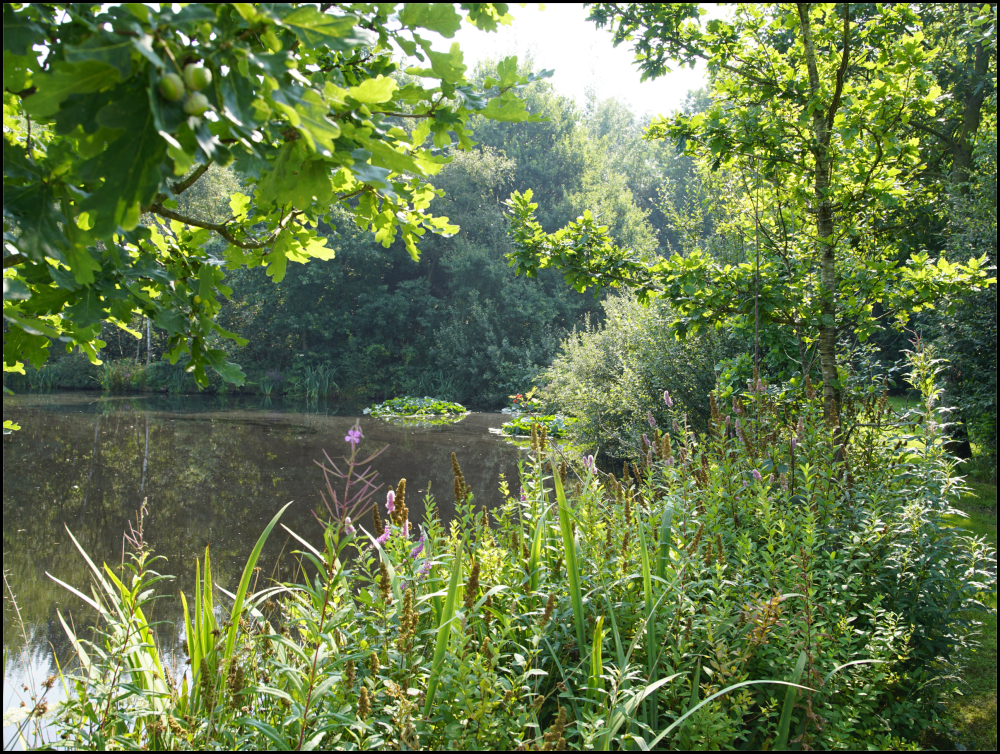 Camping Drenthe