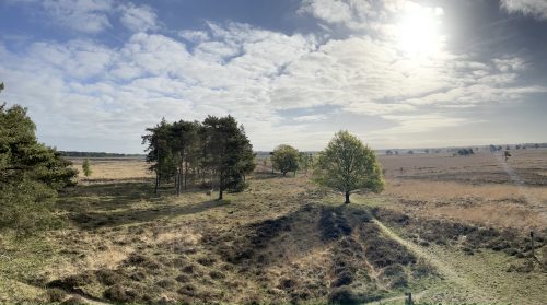 Jaarplaatsen Camping Zonnekamp Zorgvlied