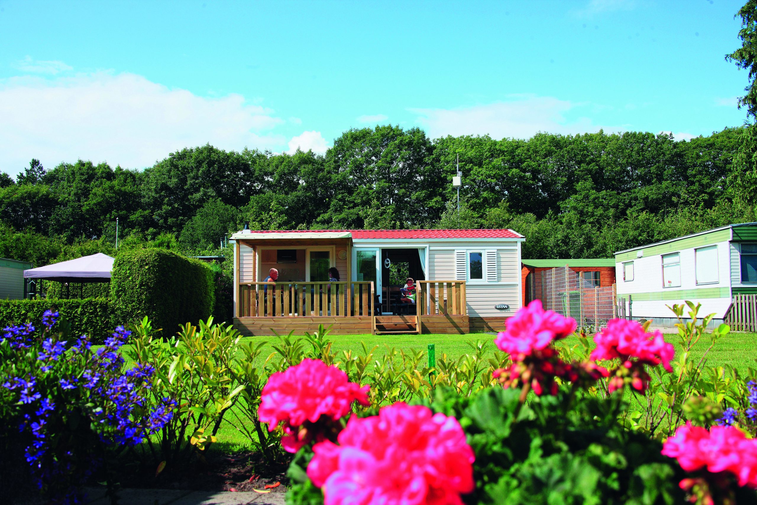 C084 Chalet huren in Drenthe, Camping Zonnkamp, Zorgvlied