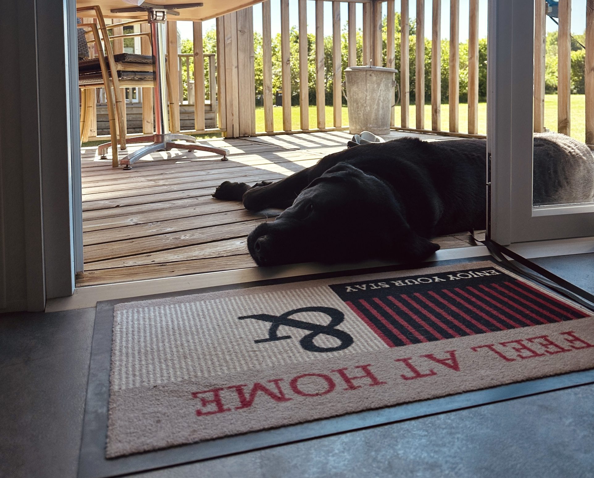 Duvel Chalet huren met hond, Drenthe, Zorgvlied, Drents Friese Wold, Camping Zonnekamp