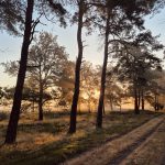 Herfst in Drenthe