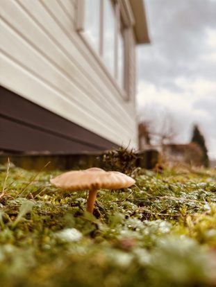 Genieten van de herfst