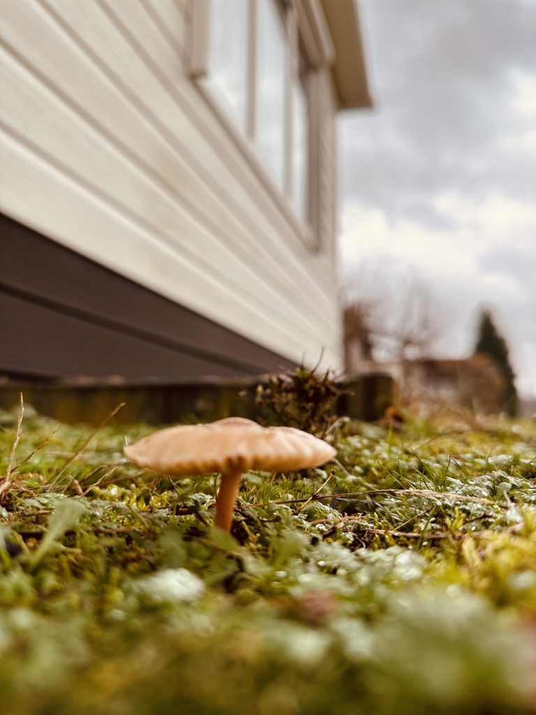 Kamperen in de herfst